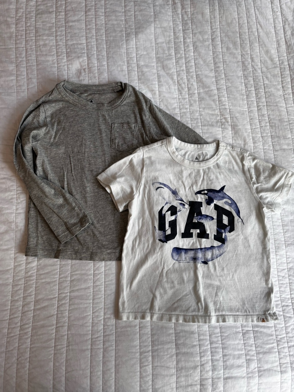 Baby Gap Boys Top Set